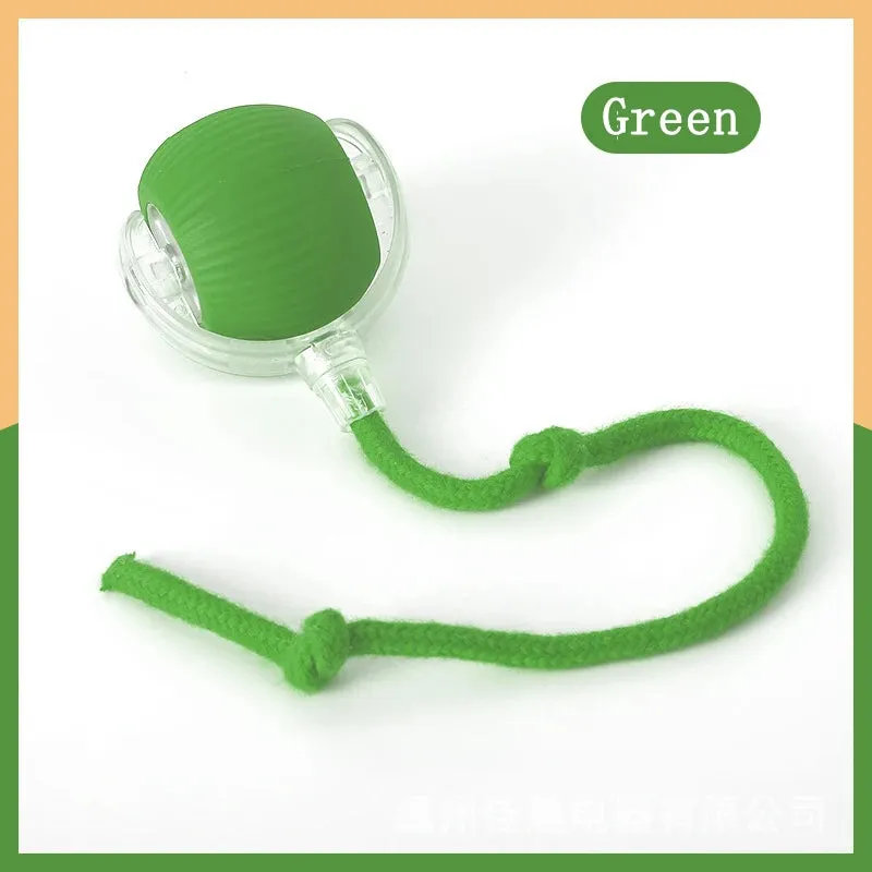 Cat Toy with Rope