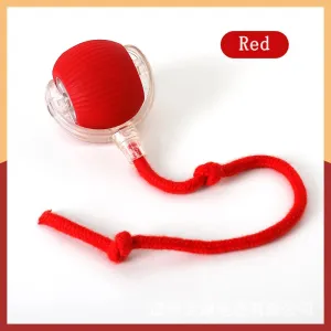 Cat Toy with Rope