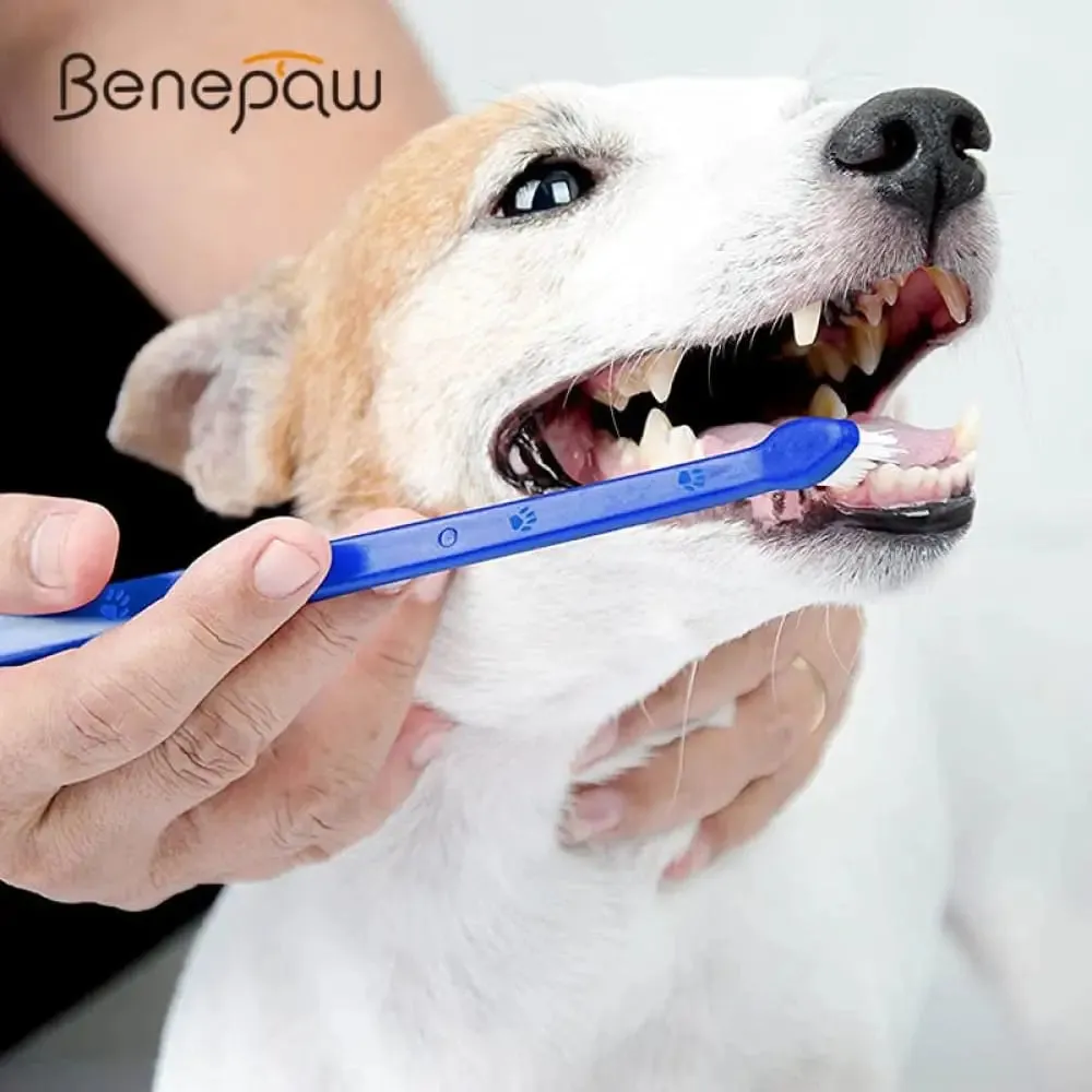 Double Sided Super Soft Bristles Long Handle Canine Dental Hygiene Dog Toothbrush