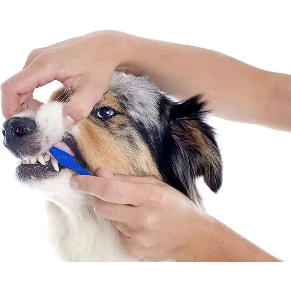 Double Sided Super Soft Bristles Long Handle Canine Dental Hygiene Dog Toothbrush
