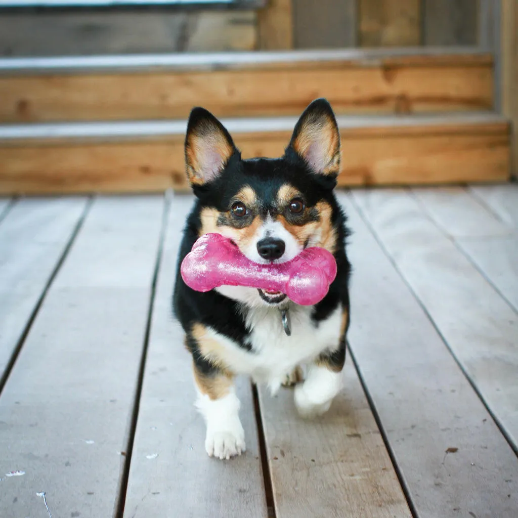 Kong Squeezz Crackle Stick Toy For Dogs (color varies)