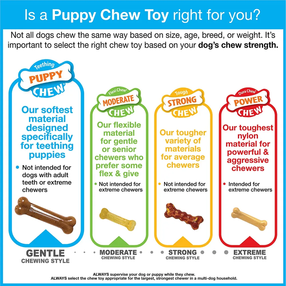 Nylabone Puppy Teething Chicken Flavoured Flexi Chew Bone Toy for Dogs (Beige)