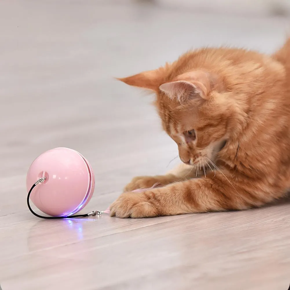 Smart Electric Pet Toys