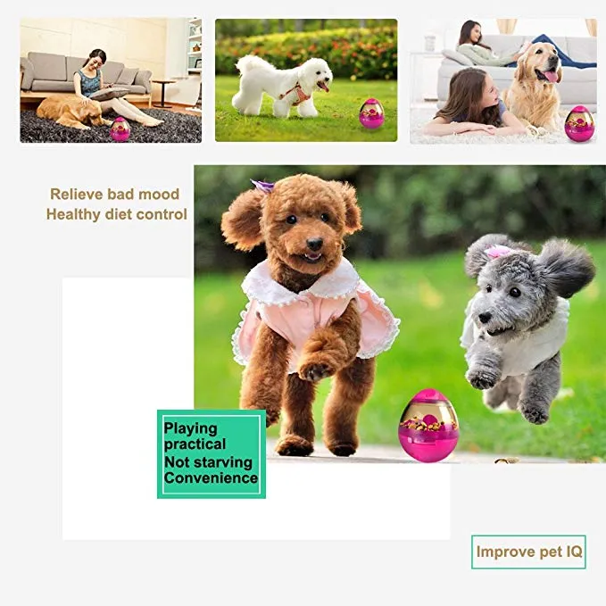 Treat Ball Dog Toy for Pet Increases IQ Interactive Food Dispensing Ball